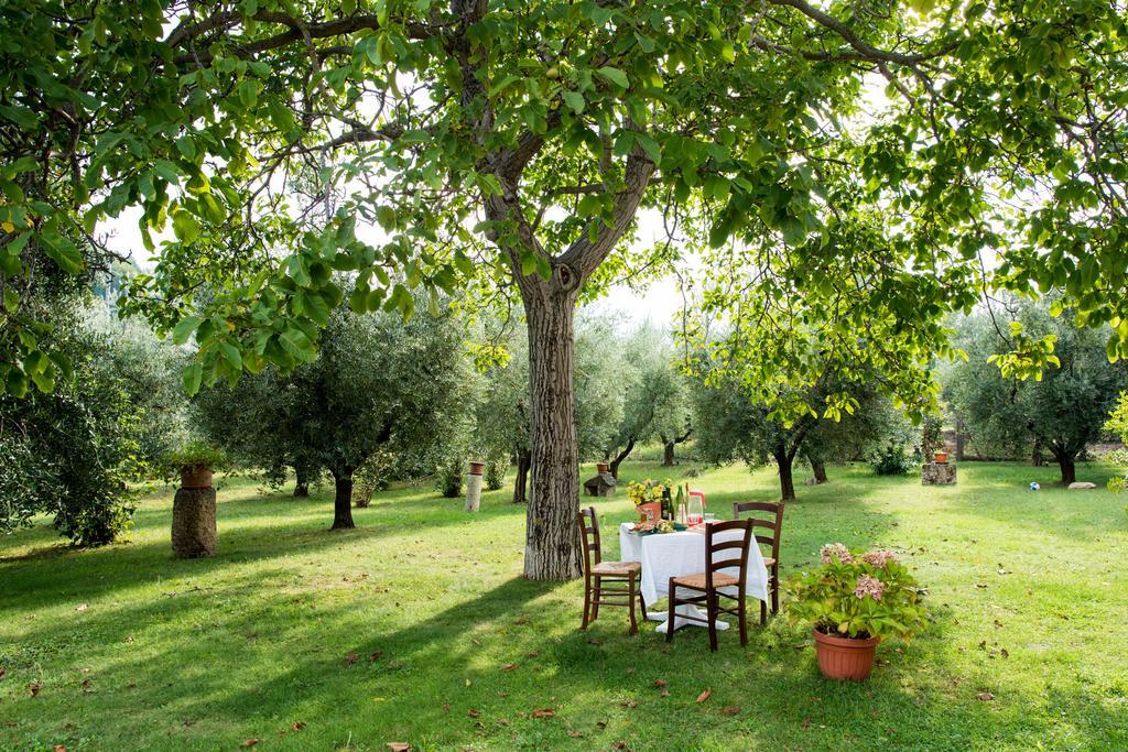 Il Casale Degli Ulivi B&B Ascoli Piceno Bagian luar foto